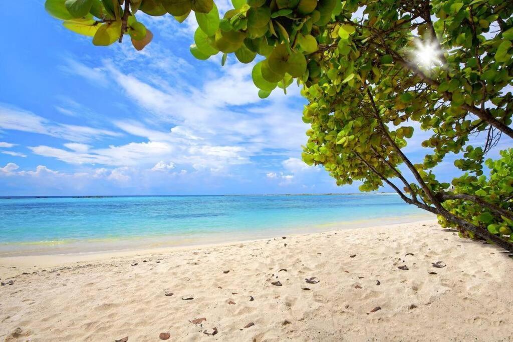 Cozy 1-Bedroom Apartment Minutes Away Drive To Mangel Halto Beach Savaneta المظهر الخارجي الصورة
