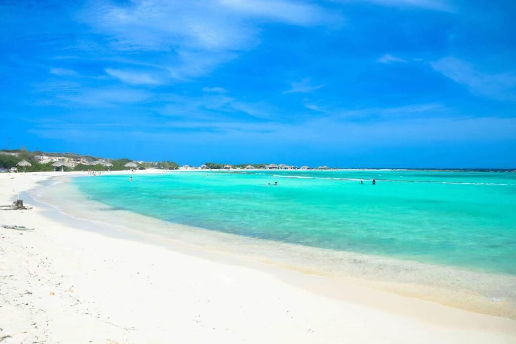 Cozy 1-Bedroom Apartment Minutes Away Drive To Mangel Halto Beach Savaneta المظهر الخارجي الصورة
